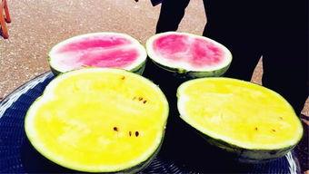 缅北吃瓜视频爆料 第1张 缅北吃瓜视频爆料 第1张